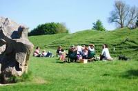 Stonewylde fans at Avebury stones in drumming circle